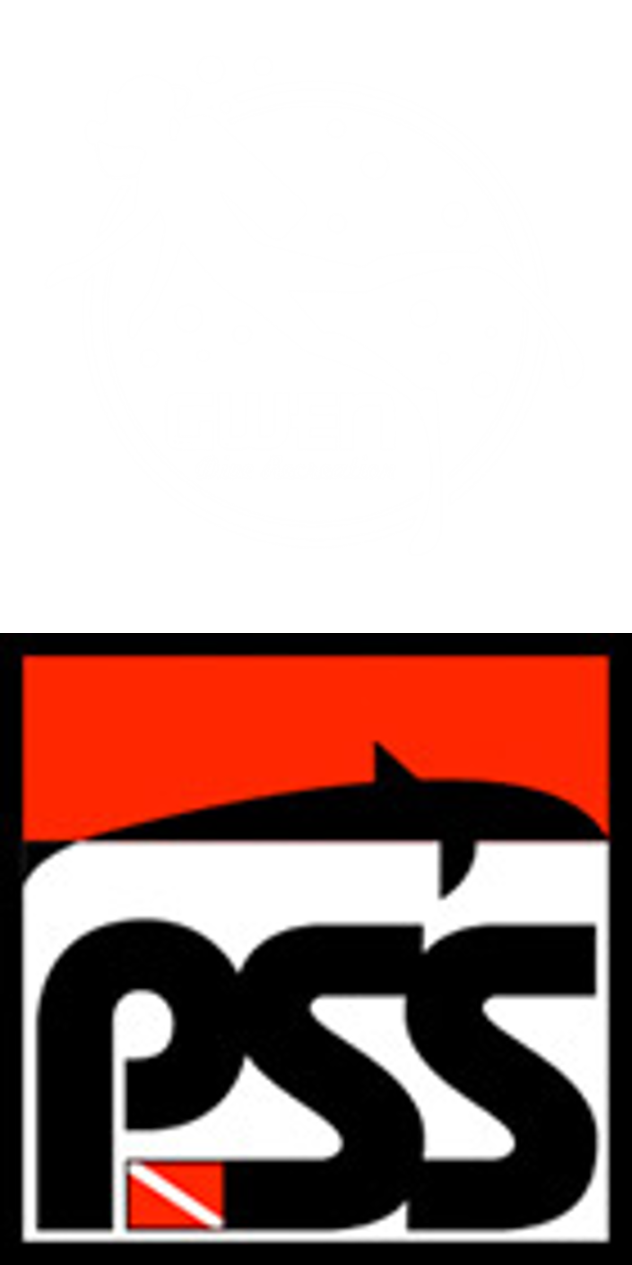 GWEN PSS Logo